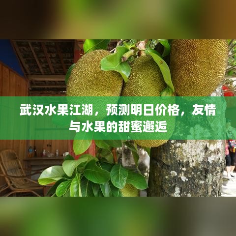 武汉水果江湖，明日价格预测与友情邂逅的甜蜜果世界