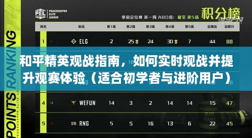和平精英观战指南，实时观战技巧与提升观赛体验攻略（适合全阶段用户）