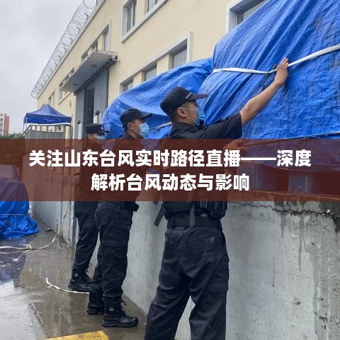 山东台风实时路径直播，深度解读台风动态与影响