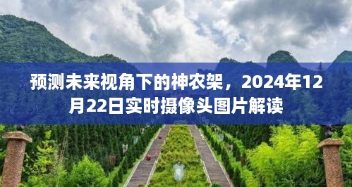 未来视角下的神农架实时摄像头图片解读，预测未来的生态与景观展望（附，2024年12月22日图片解读）