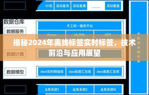 揭秘未来技术新星，离线标签实时标签技术前沿与应用展望（2024年）