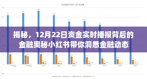 小红书带你探索金融奥秘，揭秘资金实时播报背后的秘密（12月22日）