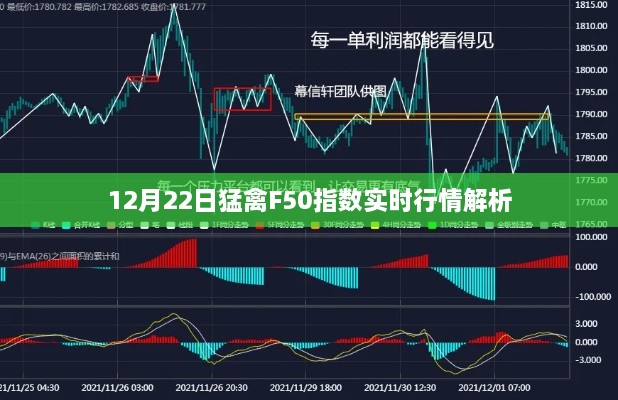 猛禽F50指数实时行情解析（12月22日）