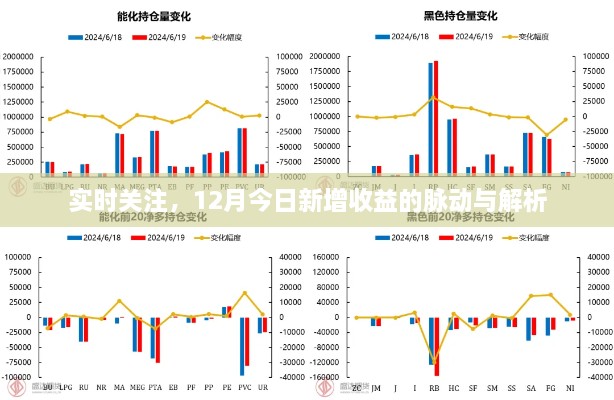 实时关注，揭秘12月今日新增收益的波动解析