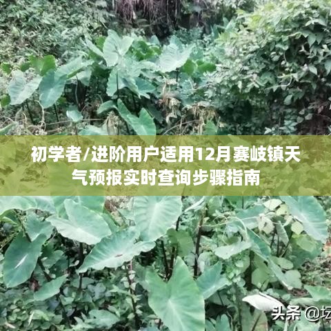 赛岐镇天气预报实时查询指南，适合初学者与进阶用户的学习步骤