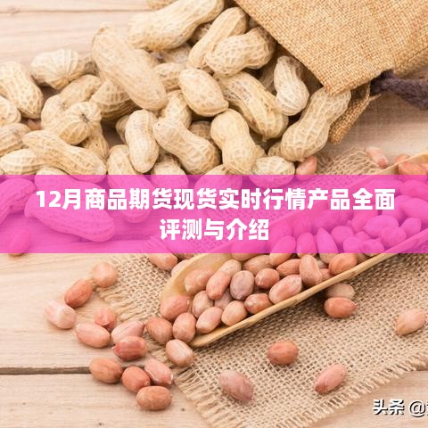 12月商品期货现货实时行情全面评测与产品介绍