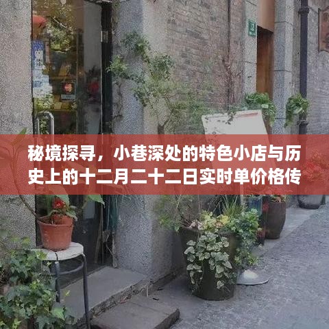 秘境探寻，小巷特色小店与实时单价格传奇的十二月二十二日