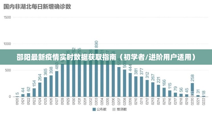 邵阳最新疫情实时数据获取指南，适合初学者与进阶用户参考