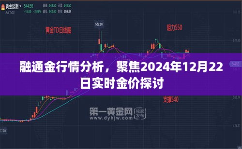 融通金行情分析，聚焦实时金价探讨，预测未来黄金走势至2024年12月22日