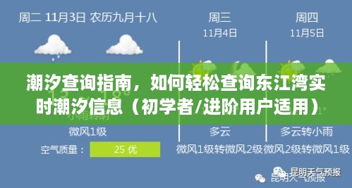潮汐查询指南，轻松掌握东江湾实时潮汐信息（适合初学者与进阶用户）