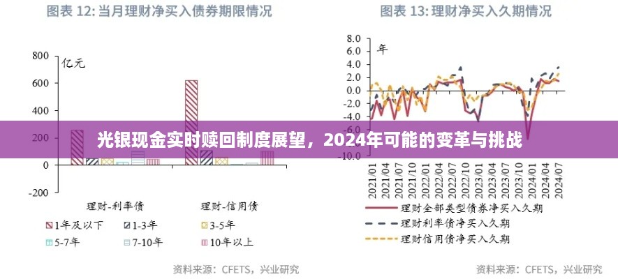 光银现金实时赎回制度展望，变革与挑战展望至2024年