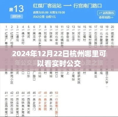 杭州实时公交查询地点推荐，2024年12月22日公交动态一览