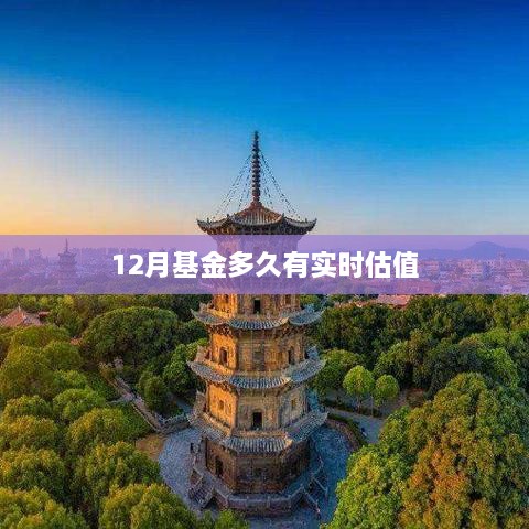 基金实时估值时间解析，12月多久更新一次？