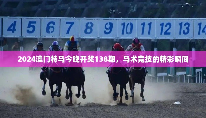 2024澳门特马今晚开奖138期，马术竞技的精彩瞬间