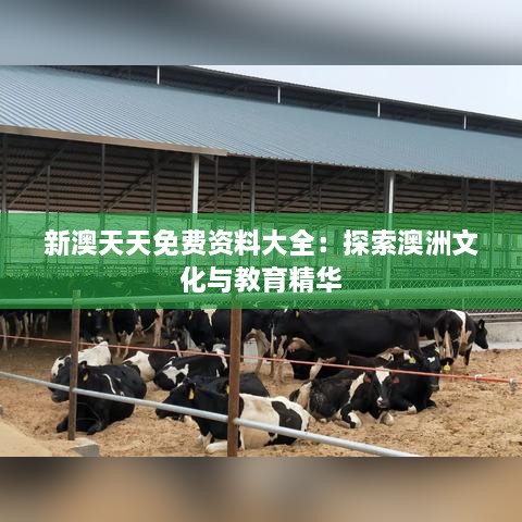 新澳天天免费资料大全：探索澳洲文化与教育精华