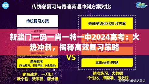 新澳门一码一肖一特一中2024高考：火热冲刺，揭秘高效复习策略