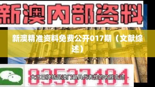 新澳精准资料免费公开017期（文献综述）