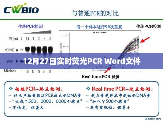 建议，12月27日实时荧光PCR报告文件解析。