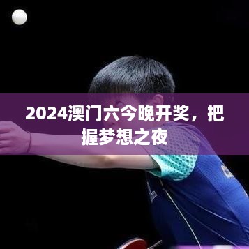 2024澳门六今晚开奖，把握梦想之夜