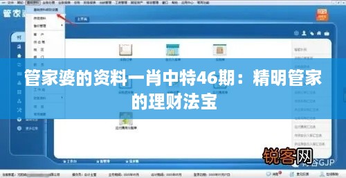 管家婆的资料一肖中特46期：精明管家的理财法宝